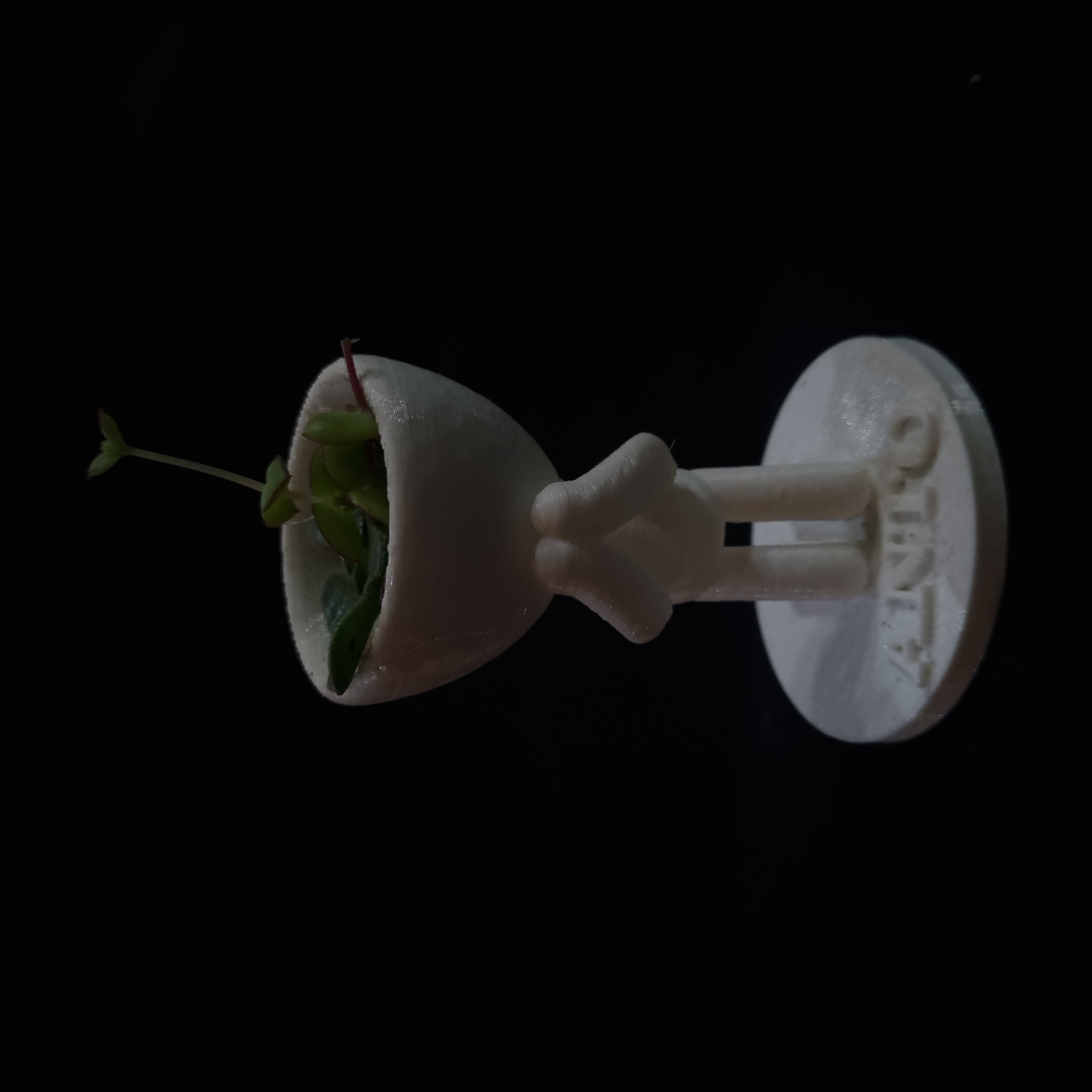 imagen de maceta robert plant rezando impreso en 3d